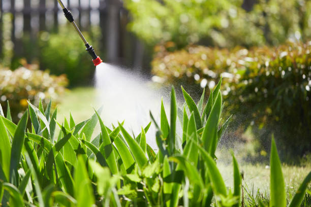24/7 Emergency Cockroach Control experts in Port Aransas, TX
